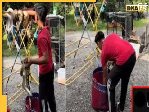 Snake video Viral Social Media