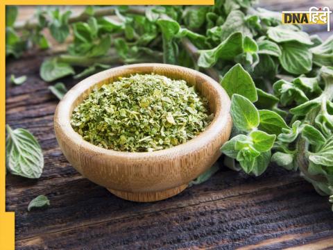 Oregano Benefits