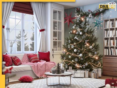 Vastu Tips For Christmas Tree