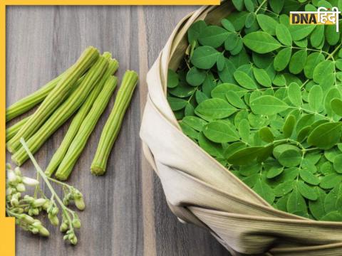 Moringa Leaves Benefits