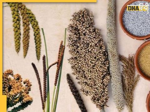 Healthy Millets For Winter