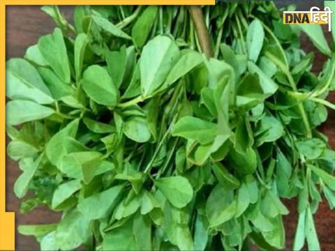 Methi Leaves Health Benefits