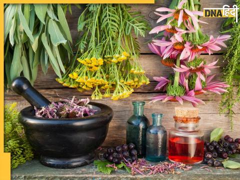 Ayurvedic Herbs For Diabetes