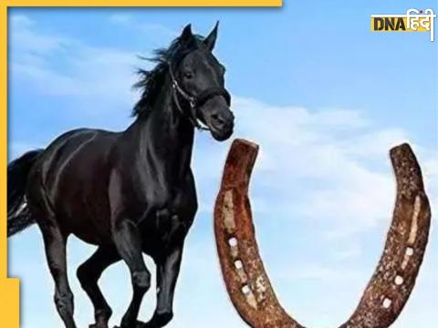 Vastu Tips Horseshoe For Home 