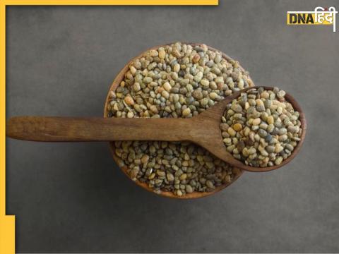 Protein Rich Dal