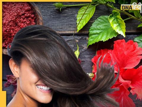 Hibiscus Flower For Thick Hair