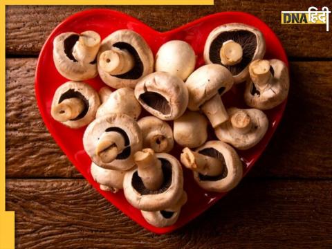 Mushroom Benefits