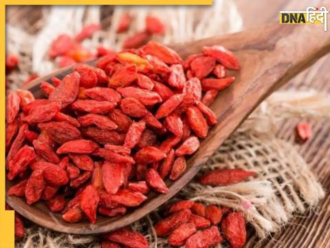 Goji Berries Health Benefits