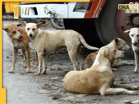 प्रतीकात्मक तस्वीर.