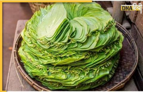 benefits of betel leaves