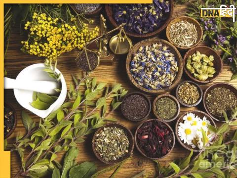 Ayurvedic Herbs For Uric Acid