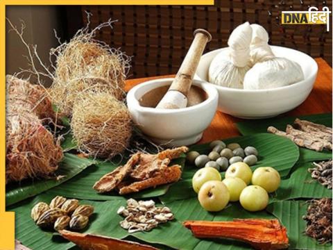 Ayurvedic Herbs