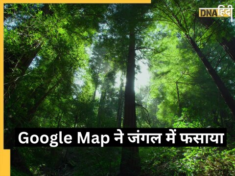 google maps news 