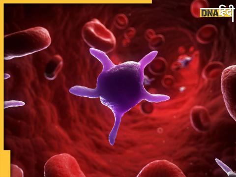 क्या होता है Platelets? शरीर में ये लक्षण हो सकते हैं इसकी कमी के संकेत