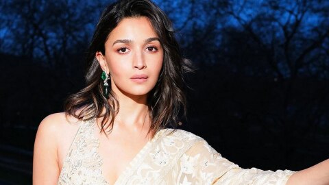 Alia Bhatt hit films