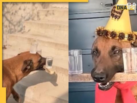 Video of dog goes viral 