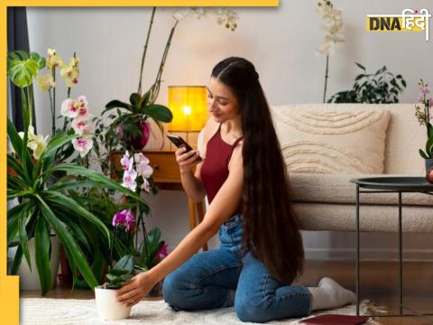 Vastu Shastra For Plants