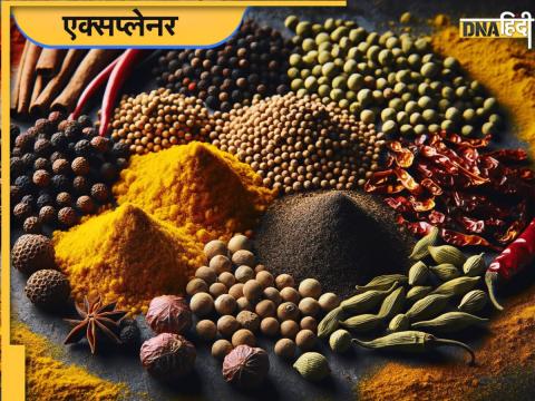 Indian Spices Market