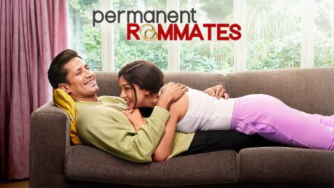 Permanent Roommates story