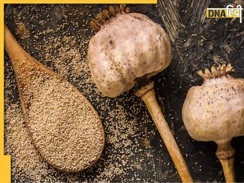 Poppy Seeds Benefits