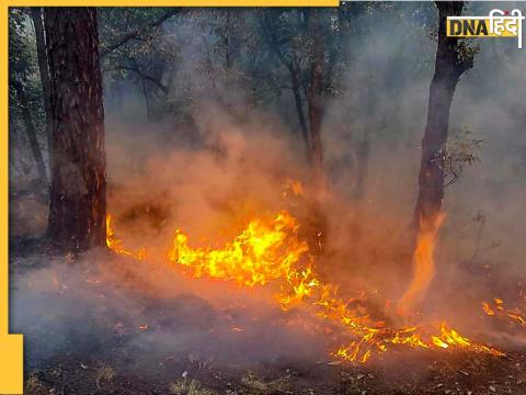 Uttarakhand Forest Fire