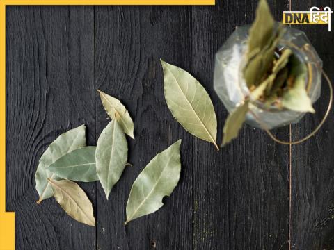 Bay Leaf Tejpata ke fayde 