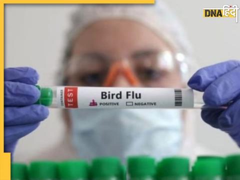 Bird Flu