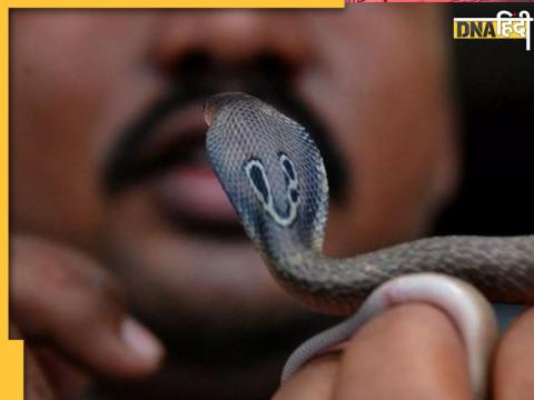 man in Fatehpur eats poisonous snake