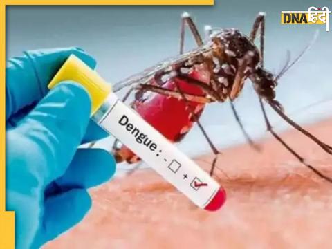 Karnataka Dengue Case