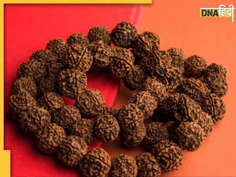 Best Rudraksha According To Rashi