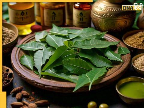 Neem Leaves Benefits