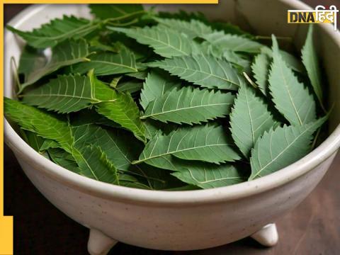 neem leaves benefits