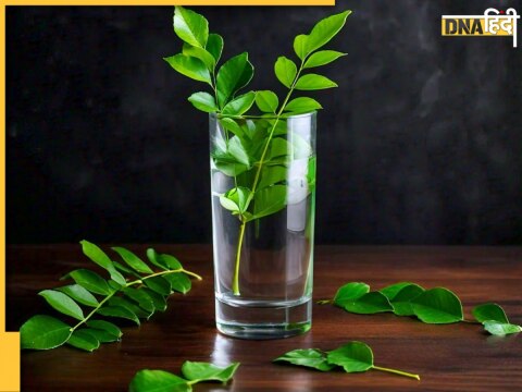 curry leaves water benefits