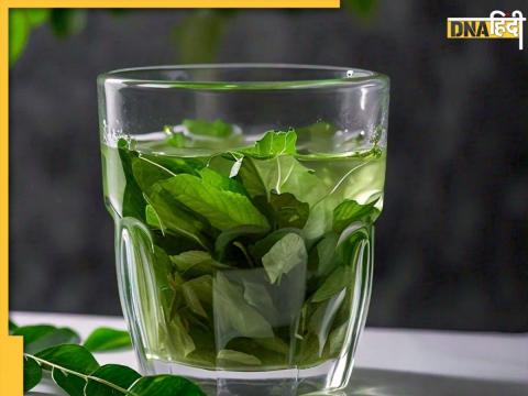 Curry Leaves Water Benefits 