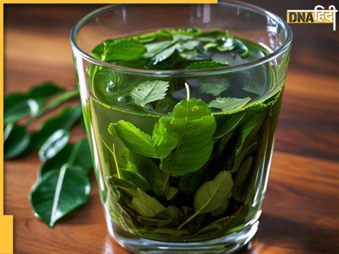 Curry Leaves Water