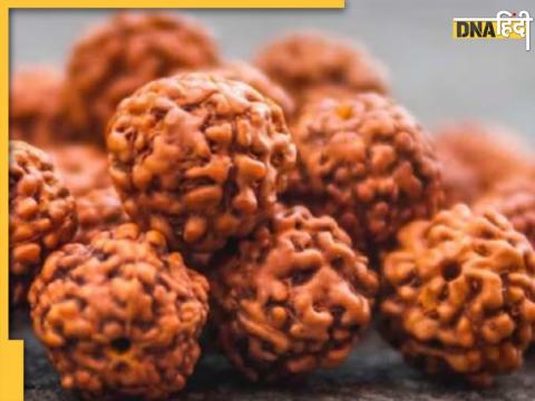 Rudraksha Rules