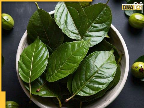 Jamun leaves benefits