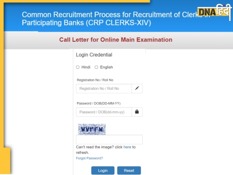 IBPS RRB Clerk Admit card 2024 mains