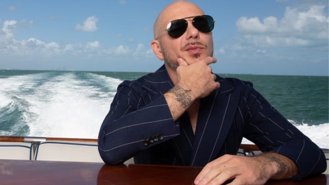 about American Rapper Pitbull 