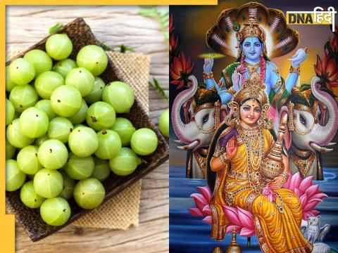 Amla Upay For Amla Navami