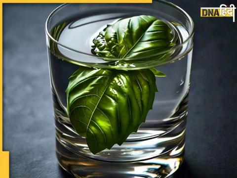 Basil Water Benefits