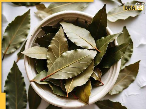 bay leaf benefits