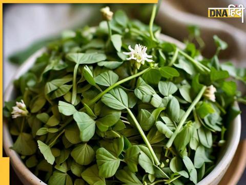 Benefits of fenugreek leaves