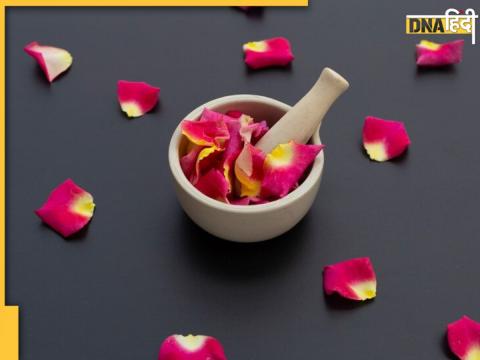  Rose Petals Benefits