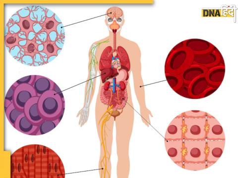 Human Cell Atlas