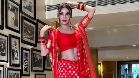 Sherlyn Chopra films and web series 