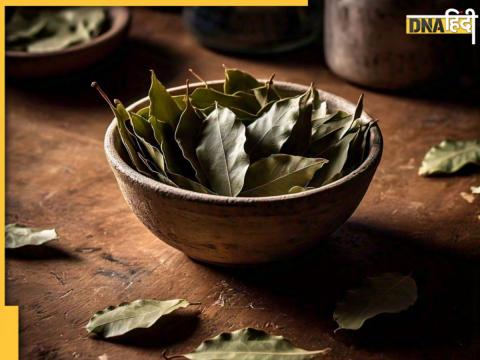 Bay Leaf Benefits