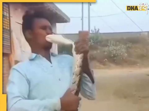 python attack on man