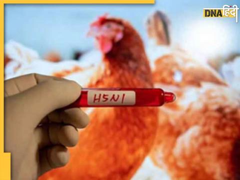 US Reports First Severe Bird Flu Case