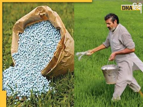 DAP Fertilizer